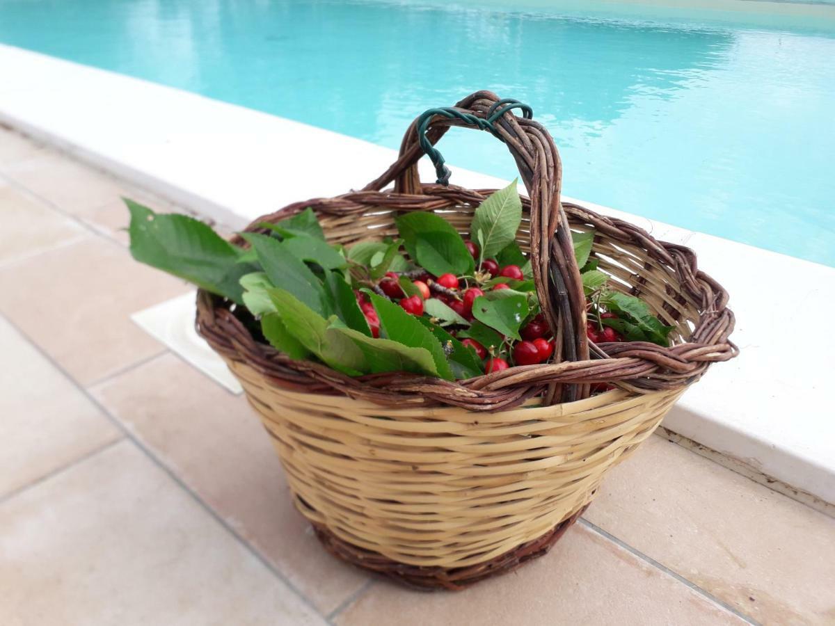 Relais Villa Sofia Calcinelli Eksteriør bilde
